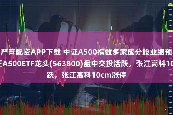 严管配资APP下载 中证A500指数多家成分股业绩预喜，中证A500ETF龙头(563800)盘中交投活跃，张江高科10cm涨停